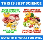 2499133_5JDrokURSkixb9YZlXBj_insta_posta_science.jpg 2499133_5JDrokURSkixb9YZlXBj_insta_posta_science.jpg