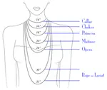 necklacelengthdiagram.png necklacelengthdiagram.png