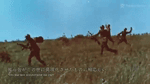 xi916mgjari.mp4