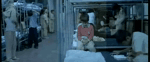 literally+me.webm