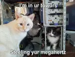 kot-stealing-hertz.png