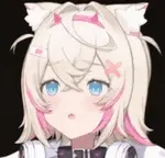 c5pnavm00lw.gif