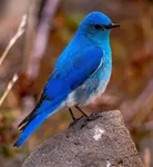 Screenshot 2025-10-10 103346.png Screenshot 2025-10-10 103346.png