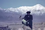 8-Hindu-Kush-Falconer-1971-scaled-1.jpg 8-Hindu-Kush-Falconer-1971-scaled-1.jpg
