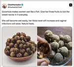 wet like fish.jpeg wet like fish.jpeg