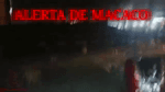 alerta de macaco.mp4