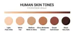 skin-tone-color-scale-chart-brown-palette-vector-human-skin-infographic-banner-i.webp