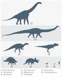 Dinosaur_Comparitive_Sizes.gif Dinosaur_Comparitive_Sizes.gif