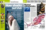 How_Sharks_Survive.jpg How_Sharks_Survive.jpg