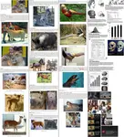 1414030469573.jpg 1414030469573.jpg