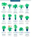 FilteringPlants.jpg FilteringPlants.jpg