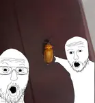 Mematic_20250926_224452.jpg Mematic_20250926_224452.jpg