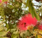 pu7077q2o3b.png pu7077q2o3b.png