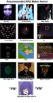 RPG Maker Horror Recs.jpg RPG Maker Horror Recs.jpg