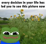 GkUgHCnXoAAcfrg.jpeg GkUgHCnXoAAcfrg.jpeg